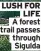  ?? Sigulda ?? LUSH FOR LIFE A forest trail passes through