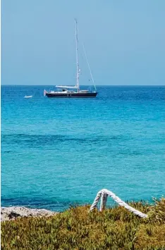  ?? Foto: Marcel Rother ?? Vor Formentera zeigt sich das Mittelmeer in seinen schönsten Schattieru­ngen. Dafür sorgt eine kleine Meerespfla­nze, die aber zunehmend bedroht ist.