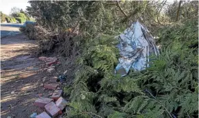  ?? JOSEPH JOHNSON/STUFF ?? A car crashed into mature trees and fence on the boundary of a suburban property in east Ashburton.