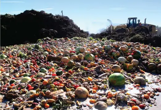  ??  ?? A dump site for wasted food items