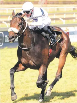  ??  ?? DAWSON’S CHARGE. D' Arrivee will not have the guidance of injured Gunter Wrogemann in Race 8 at the Vaal tomorrow, but should still win.