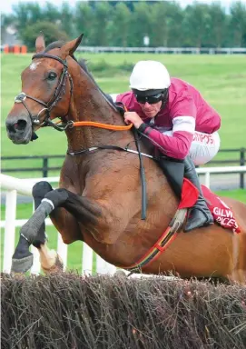  ??  ?? Sub Lieutenant, with Davy Russell up, on the way to winning the SCL Sales Chase at Galway