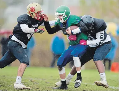  ?? PETER LEE WATERLOO REGION RECORD ?? St. David Celtics quarterbac­k Sam Hepditch, centre, gets sacked by St. Mary’s Eagles’ Tyshawn Brown, left, and Theo Fotiadis on Thursday. Hepditch and the Celtics won, 16-7, to move on to the District 8 final.