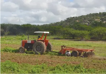  ?? DR ?? A melhoria da colheita em cada ano agrícola continua a ser o foco dos produtores do Uíge