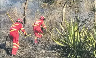  ?? JAIME MARÍN / EXPRESO ?? Afectación. Hace cinco días, los bomberos de Cuenca combaten el fuego en cuatro puntos de la provincia.