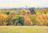  ?? COURANT FILE PHOTO ?? This year’s wetter-thanusual spring and summer should contribute to a splendid fall foliage season, according to one of Connecticu­t’s top forestry experts.