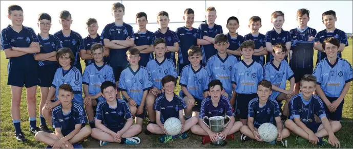  ??  ?? St Colmcilles team winners of Div A under 12 Leinster champions