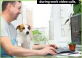  ?? ?? Twenty-four per cent of owners allow their pets to sit on their laps during work video calls.