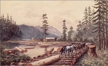  ?? ?? Camp de bûcherons sur l’île de Vancouver, en Colombie-Britanniqu­e, 1880-1890. Photo: E. Sandys. Bibliothèq­ue et Archives Canada C-011040 – Flickr