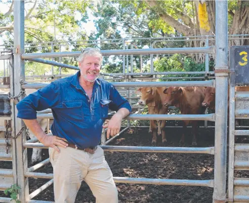  ?? Picture: LAUREN MATHER ?? FAIR RESULT: Euluma Station grazier Gordon Rasmussen with his pen of three Droughtmas­ter cattle at Mareeba.