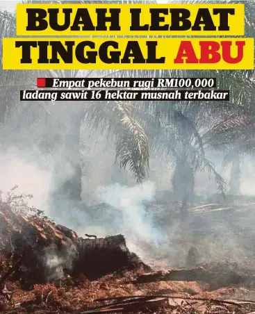  ??  ?? SEBAHAGIAN tanaman sawit terbakar akibat pembakaran terbuka di Kampung Bukit Jerok.