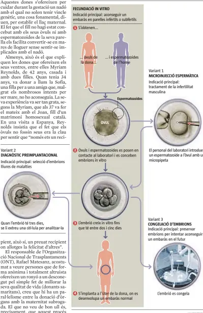  ??  ?? 1
2
3
4
...
ÒVUL
Espermatoz­oides
LA VANGUARDIA