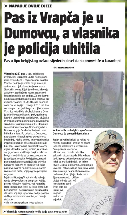  ?? ?? Pas nalik na belgijskog ovčara u Dumovcu će provesti deset dana
Vlasnik je nakon napada tvrdio da je pas samo zaigran