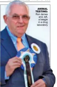  ??  ?? ANIMAL TESTING: Ron James and, left, a beagle in a drug laboratory