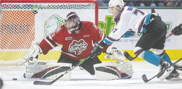  ?? Mike Hensen / postmedia news files ?? Guelph Storm goalie Nico Daws is the top draft- eligible North American goaltendin­g prospect, according to NHL Central Scouting’s final rankings.