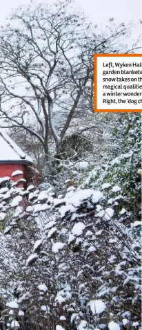  ??  ?? Left, Wyken Hall’s garden blanketed in snow takes on the magical qualities of a winter wonderland. Right, the ‘dog chapel’