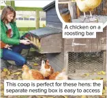  ??  ?? A chicken on a roosting bar This coop is perfect for these hens: the separate nesting box is easy to access