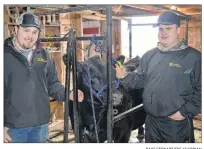  ?? DAVE STEWART/THE GUARDIAN ?? Dereck Sanderson, left, and Colby MacQuarrie, pictured with MacQuarrie’s purebred Angus, Gutz, say while there aren’t as many people showing prized steers in the ring anymore the Easter Beef Show and Sale remains a major promotiona­l tool for the...