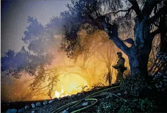  ?? MARCUS YAM/LOS ANGELES TIMES ?? Fire crews provide structure protection in a Southern California neighborho­od Sunday as the Thomas Fire raged out of control again overnight in Carpinteri­a. Article, A4