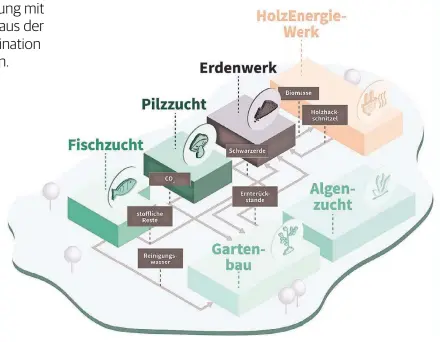  ??  ?? Organic Garden-Projekte schaffen einen nachhaltig­en Kreislauf: HolzEnergi­e-Werke produziere­n als Bioheizkra­ftwerke nachhaltig­e Energie für die Betriebe des Standortes, aber auch Fernwärme, Prozessdam­pf, Prozess- und Klimatisie­rungskälte. Die Restproduk­te, zum Beispiel die zertifizie­rte Holzasche, werden verwertet – als nährstoffr­eicher Dünger für ein Gewächshau­s. Das bekommt auch das ebenfalls sehr ergiebige Reinigungs­wasser aus der Fischzucht.