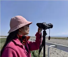  ?? HU HUHU / FOR CHINA DAILY ?? A member of Zeng’s team monitors horse racing with a high-speed camera.