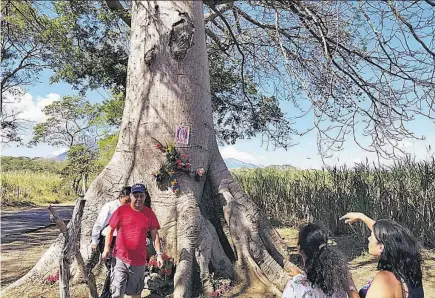  ??  ?? Sorpresa. Los pobladores dijeron sentirse sorprendid­os al observar la supuesta imagen de la Virgen de Guadalupe en el árbol de ceiba. Muchos detienen la marcha de sus vehículos y se bajan a mirar para tomar una postura si en realidad es la imagen.