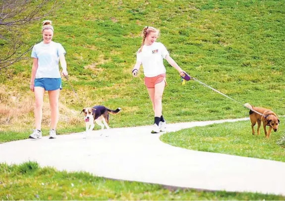  ?? BRIAN KRISTA/PATUXENT PUBLISHING ?? Krista Mariner of Ellicott City, left, goes for a jog with her dog, Max, accompanie­d by her cousin, Katie Mariner of Delaware, and her dog, Summer, at Meadowbroo­k Park.