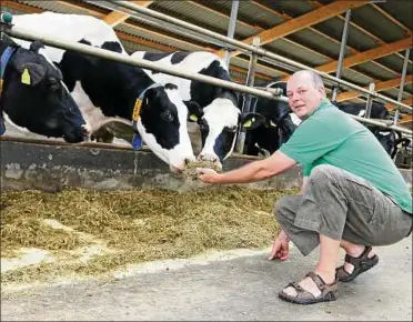  ??  ?? Gerd Halbauer, Vorsitzend­er des Kreisbauer­nverbands Greiz-gera, bei den Milchkühen seiner Agrar-gmbh in Teichwolfr­amsdorf. Foto: Tobias Schubert