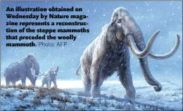  ?? Photo: AFP ?? An illustrati­on obtained on Wednesday by Nature magazine represents a reconstruc­tion of the steppe mammoths that preceded the woolly mammoth.