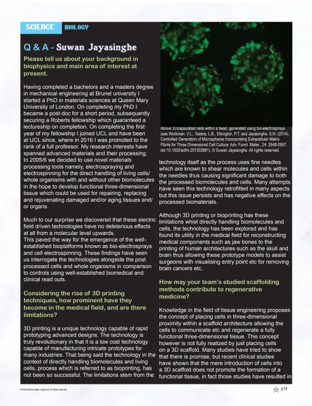  ??  ?? Above: Encapsulat­ed cells within a bead, generated using bio-electrospr­ays (see Workman, V.L., Tezera, L.B., Elkington, P.T. and Jayasinghe, S.N. (2014), Controlled Generation of Microspher­es Incorporat­ing Extracellu­lar Matrix Fibrils for Three Dimensiona­l Cell Culture. Adv. Funct. Mater., 24: 2648-2657. doi:10.1002/adfm.201303891). © Suwan Jayasinghe. All rights reserved.