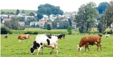  ?? Foto: Peter Wieser ?? Landwirtsc­haftliche Idylle, wie sie nur noch selten zu finden ist. Der Bauernverb­and hatte am Sonntag zu einer Podiumsdis­kussion über die Situation der Landwirte ein‰ geladen.