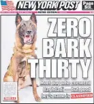  ??  ?? The dog made the front page of the New York Post.