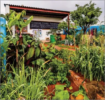  ??  ?? GOOD CAUSE: Camfed Garden at Eden Project will help young women in Africa