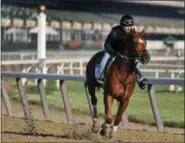  ?? JULIE JACOBSON — THE ASSOCIATED PRESS ?? Belmont Stakes hopeful Hofburg works out at Belmont Park, Tuesday in Elmont, N.Y. Hofburg is one of 10horses racing in the 150th running of the Belmont Stakes horse race on Saturday.