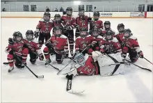  ?? SPECIAL TO THE ST. CATHARINES STANDARD ?? The St. Catharines Brock Jr. Badgers earned the bronze medal with a win over the South Huron Sabres at the Ontario Women’s Hockey Associatio­n’s Novice B Championsh­ips.