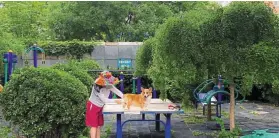  ?? ?? Animal lovers: A woman grooms her pet Corgi in Beijing. China’s pet medical industry has reached 40 billion yuan (Rm26bil), taking up 20% of the whole pet consumptio­n market. — Reuters