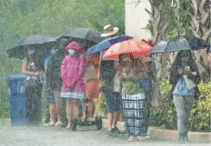  ?? GREG LOVETT/USA TODAY NETWORK ?? Voters stand in the rain while waiting in line to cast their ballots at the during the first day of early voting at the Palm Gardens Branch Library in Palm Beach Gardens, Fla., on Monday.