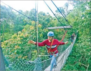 ?? HONG MENEA ?? Vong Srey Oun takes on the Suspension Bridge Challenge, where she has to walk over elevated bridges connected between trees.