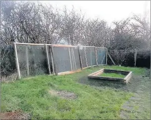  ??  ?? n WHO IS WILLING AND ABLE: Sue Kitt, who helps at the farm in Pole Hill Park, says some muscle and know-how is needed to rebuild the bird shelter