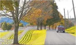  ?? JERRY JACKSON/BALTIMORE SUN ?? Maple trees at Sagamore Farm in Baltimore County show various states of foliage Monday afternoon. Many trees in the area are not displaying typical fall colors.