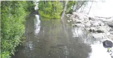  ?? CITY OF WINDSOR ?? The City of Windsor on Monday suspended indefinite­ly the municipal boat tours to Peche Island scheduled to begin this week as record-high water levels have flooded the island’s trails.