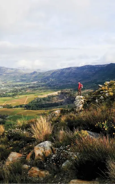  ??  ?? ABOVE Overlookin­g the winelands of the Constantia Valley from Vlakkenber­g. OPPOSITE Soaking up the view from Woody Buttress. It’s best to hike in a group with similar abilities and fitness levels.