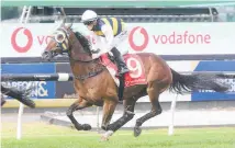  ?? Photo / Trish Dunell ?? Regal Lion is a right royal chance at Randwick.