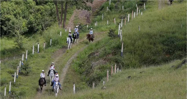  ?? MAYELA LÓPEZ ?? Cabalgata en el 2018 en el Hotel Alta Gracia, ubicado en Pérez Zeledón. Lugareños indican que el turismo se ha desarrolla­do en la zona.