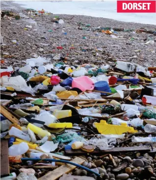  ??  ?? DORSET Rubbish dump: Waste collects in a pile on the seafront at Weymouth