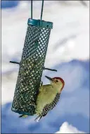  ?? METRO NEWS SERVICE PHOTO ?? More than 45 million people in the United States watch birds around their homes and away from home every year. Choice of bird feeder can affect just which birds come to your backyard.