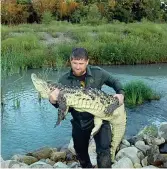  ??  ?? La caccia In un video diventato molto popolare sul suo profilo, Kadyrov catturava un coccodrill­o a mani nude