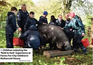  ?? Athwenna Irons ?? Children enjoying the ‘field to fork’ experience at Farms For City Children’s Nethercott House