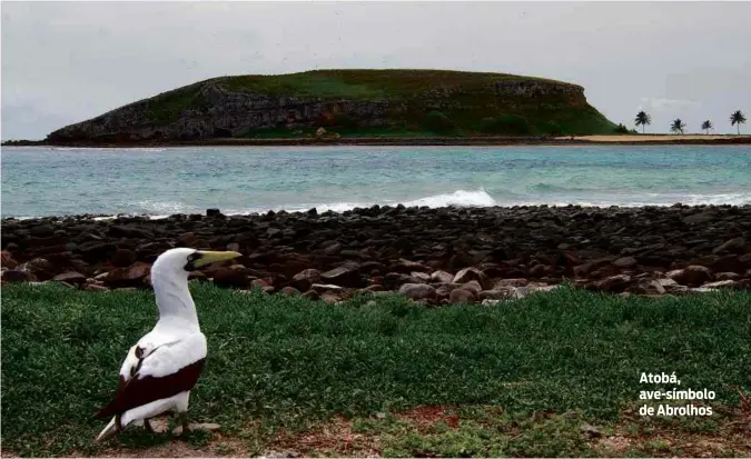  ??  ?? Atobá, ave-símbolo de Abrolhos