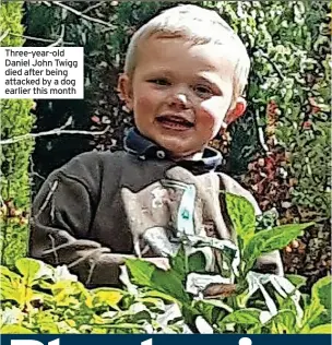  ?? ?? Three-year-old Daniel John Twigg died after being attacked by a dog earlier this month